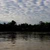 La Amazonía perdió 2,3 millones de hectáreas en 2020, su tercer peor registro