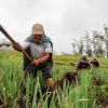 El Gobierno destina más de $ 14 millones en ayudas a 20.000 agricultores