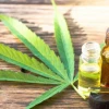 Ecuador podría recibir $ 200 millones en inversiones relacionadas con el cannabis