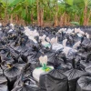Las toneladas de cocaína decomisadas en Vinces subieron a 22 
