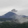 El Reventador registró flujo piroclástico y nube de ceniza