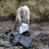 50 m3 de suelo contaminado en reserva Cayambe-Coca por robo de petróleo 