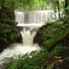 Ecuador: La Joya de los Sachas, un paraíso natural