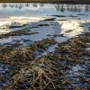 Ministerio de Ambiente confirmó el derrame de crudo en la Reserva El Salado, en Guayaquil