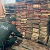 Alto índice de tráfico ilegal de madera se mantiene en zona 1  