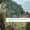 Fotos muestran daños de la minería ilegal en el páramo de Santurbán