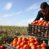 Israel y EE.UU. lideraron las plazas de migración circular en 2025