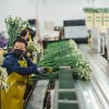 Los primeros 5 días de paro dejaron unos $ 350 millones en pérdida