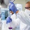 La resistencia antimicrobiana es la principal amenaza para la humanidad, según la OMS