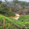 El Ejército propició golpes a la minería ilegal en la Amazonía 