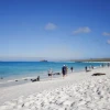 Galápagos aumenta a 14,6 millones de hectáreas su Reserva de la Biosfera
