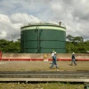 Contratos de participación en el sector petrolero, con ajuste a precio y calidad