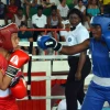  Napo, Cañar y Orellana pegaron fuerte en el ring