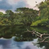 El espíritu de la Amazonía se presenta en una exposición