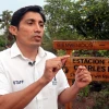 Cientos de aves mueren atropelladas en Galápagos
