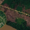 Perú: Detectan 67 pistas clandestinas vinculadas al narcotráfico en la Amazonía