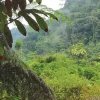 La Reserva Cofán Bermejo, un paraíso de 55.451 hectáreas en Sucumbíos