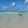 Bahía Tortuga en Galápagos, en el top ten de las mejores playas del mundo