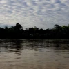 Ecuador recibió 3 premios por canje de deuda para conservar la Amazonía