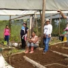 Más de 200 familias de Napo recibieron semillas de hortalizas