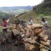 Ecuador ha perdido más de 200 millones por minería ilegal en Buenos Aires, Imbabura