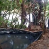 Fuerzas Armadas localizaron dos piscinas con combustible en Pacayacu
