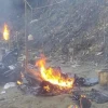 Redes criminales avanzan en la Amazonía y ya afectan a la mayoría de municipios