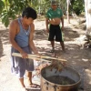 Una campaña anima a apadrinar plantas de ayahuasca