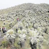 Ecuador y Colombia proponen reserva de biósfera binacional
