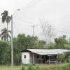 Energía eléctrica llega a comunidades rurales