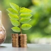 Ahorro de energía en el hogar en el contexto de la pandemia