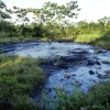 Ecuador firma convenio para gestión ambiental en la Amazonía