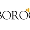 Boroo entra al mercado minero de Ecuador con la compra de concesiones de Codelco