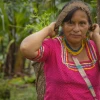 “Amazonía Sostenible al 2030”, una Iniciativa para la Amazonía ecuatoriana