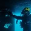 Nuevas reglas buscan proteger a Galápagos del ingreso de especies invasoras