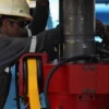 Ecuatoriana Petroamazonas aumentará explotación de petróleo en Parque nacional Yasuní en 2019