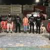 La Policía incautó 153 kilos de cocaína en contenedores que iban a Bélgica