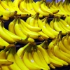 Unión Europea impone salvaguardia al banano ecuatoriano
