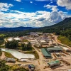 El sector generó USD 1.381,5 millones en exportaciones entre enero y marzo, según cifras del Banco Central del Ecuador
                                                width=