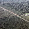 ITT se convirtió en el campo petrolero más productivo del país