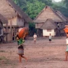 Guardias indígenas de la Amazonía se refuerzan ante crecientes riesgos territoriales