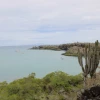 Gobierno niega haber cedido soberanía de Galápagos con canje de deuda