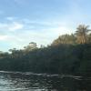 Ecuador considera nuevos canjes de deuda por conservación ambiental