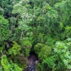 Deforestación amenaza biodiversidad del Ecuador