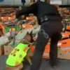 Ecuador incauta de más de una tonelada de cocaína que iba a Alemania