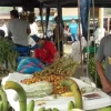 Productores de la Amazonía podrán colocar sus productos en cadenas comerciales