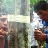 En Patuca se realizó el primer encuentro de juegos ancestrales