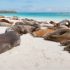 Galápagos, en la lista de 'Los Mejores Viajes del Mundo 2018'