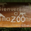 AmaZoonico, un centro de rescate animal en el corazón de la selva ecuatoriana