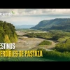 5 destinos que no puede dejar de visitar en Pastaza 